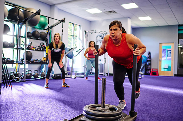 Anytime Fitness Workouts & Fitness Options prices