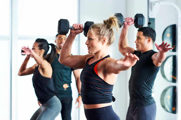 Lifetime Fitness Workout Highlights & Prices: